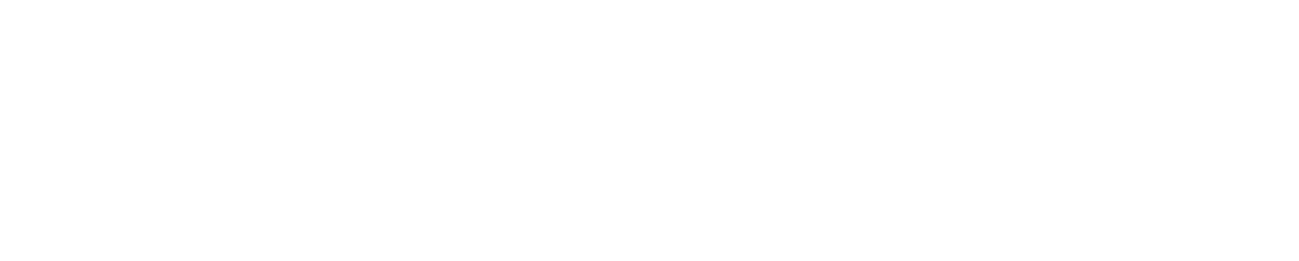 MEDZI Software Solutions
